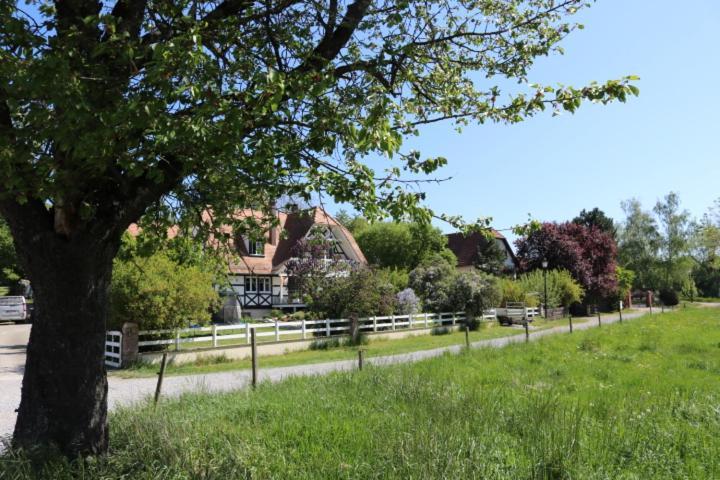 Apartment Romantik-home Nordelsass - Fuer Selbstversorger Oberhoffen-les-Wissembourg