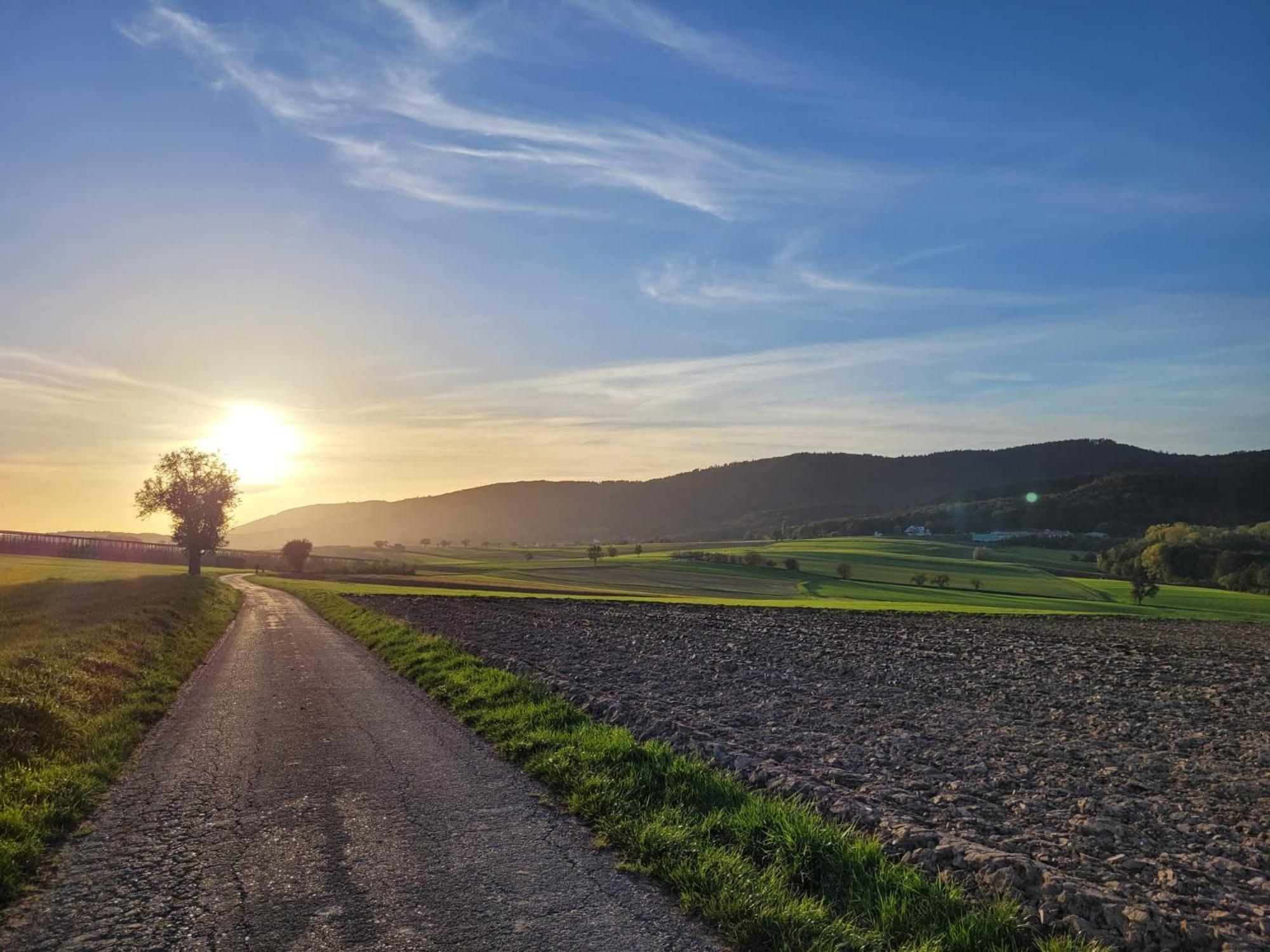 Romantik-home Nordelsass - Fuer Selbstversorger